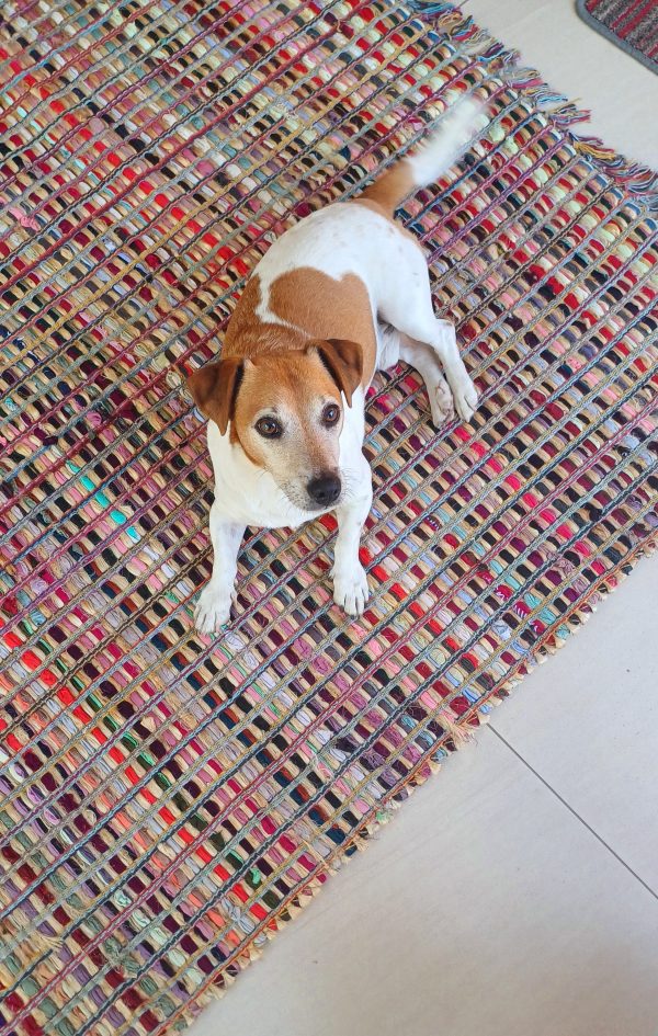 Chindi Rugs - Red - Image 3