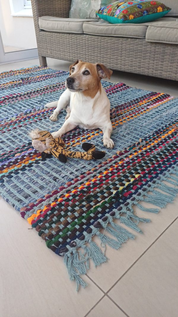 Chindi Rugs - Blue - Image 3